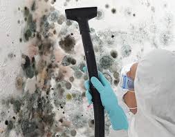 Best Asbestos and Lead Testing During Mold Inspection  in Leonville, LA